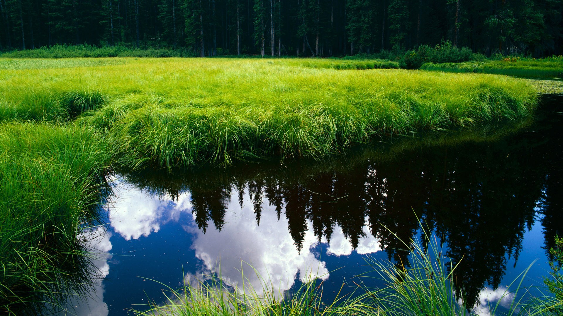 俱乐部成长故事：从基层青训到世界舞台，俱乐部打造