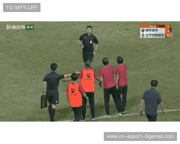 “裁判背后：那些鲜为人知的判罚内幕”，裁判被罚下